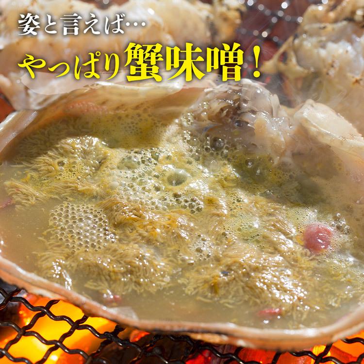 かに カニ 蟹 ズワイガニ 姿ずわい蟹 4.5kg 超特大 5尾かに送料無料 グルメ 食品 優良配送 食品 海鮮 ギフト クーポン 新生活応援 母の日 送料無料｜morigen｜05