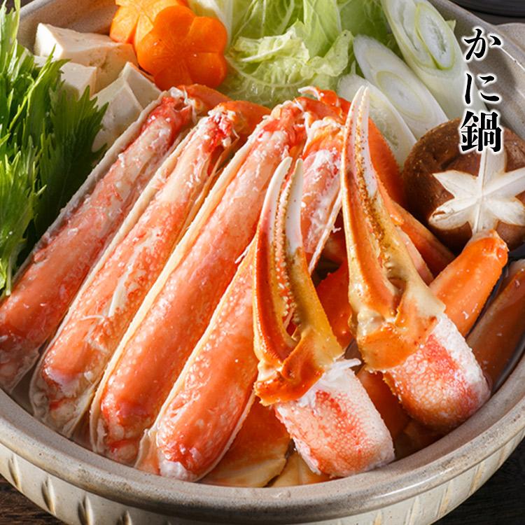 訳あり L〜2Lボイルズワイ蟹 5kg 業務用 ずわいがに ずわい蟹 かに 