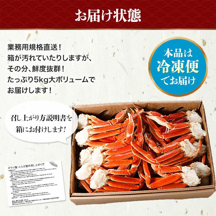 訳あり L〜2Lボイルズワイ蟹 5kg 業務用 ずわいがに ずわい蟹 かに 