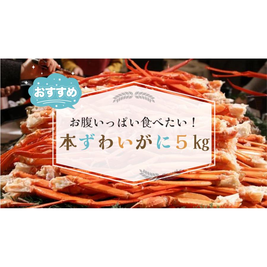 食の達人 訳あり L〜2Lボイルズワイ蟹 5kg 業務用 ずわいがに ずわい蟹