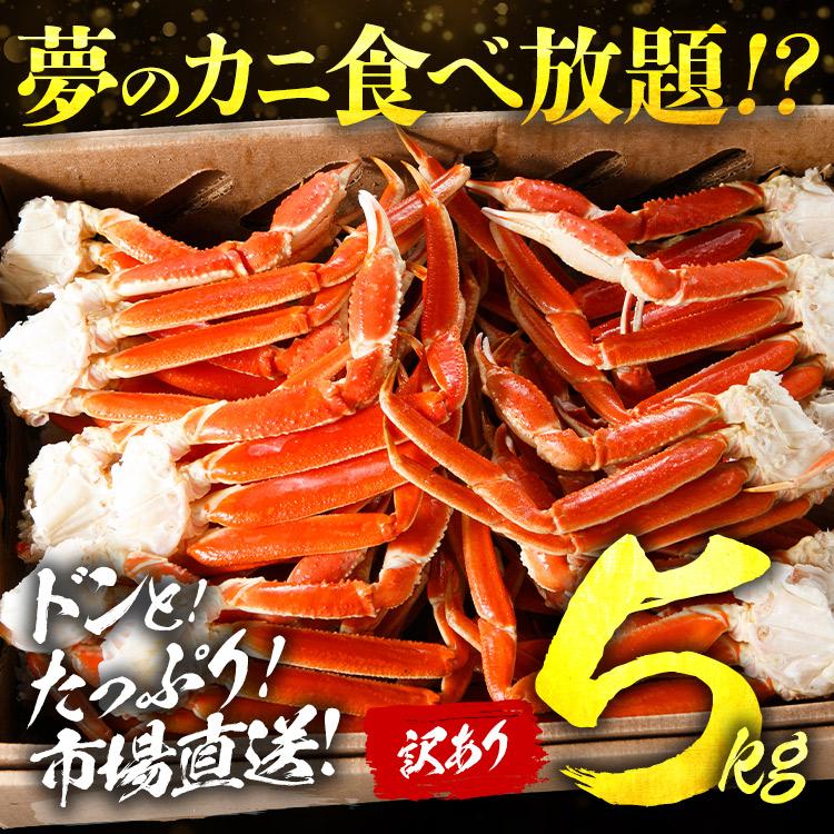 訳あり L〜2Lボイルズワイ蟹 5kg 業務用 ずわいがに ずわい蟹 かに 