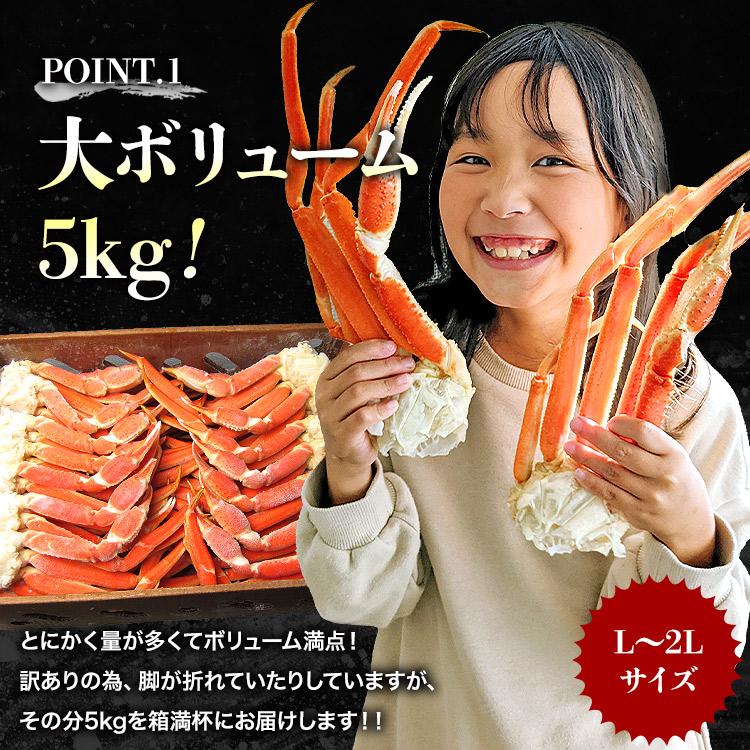 食の達人 訳あり L〜2Lボイルズワイ蟹 5kg 業務用 ずわいがに ずわい蟹