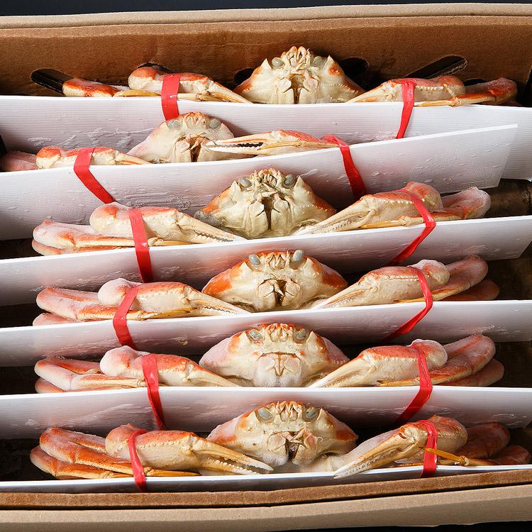 食の達人 かに 3kg お得 カニ 姿ずわいがに 5〜7尾 ズワイガニ