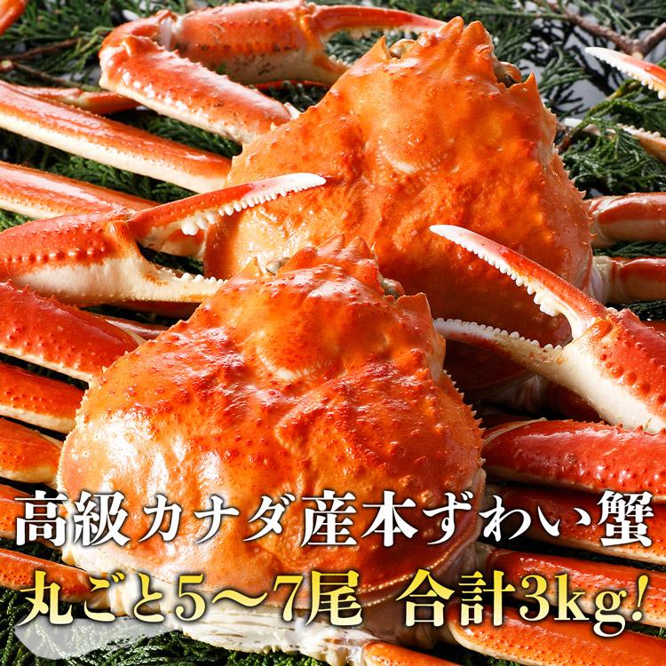 食の達人 かに 3kg お得 カニ 姿ずわいがに 5〜7尾 ズワイガニ