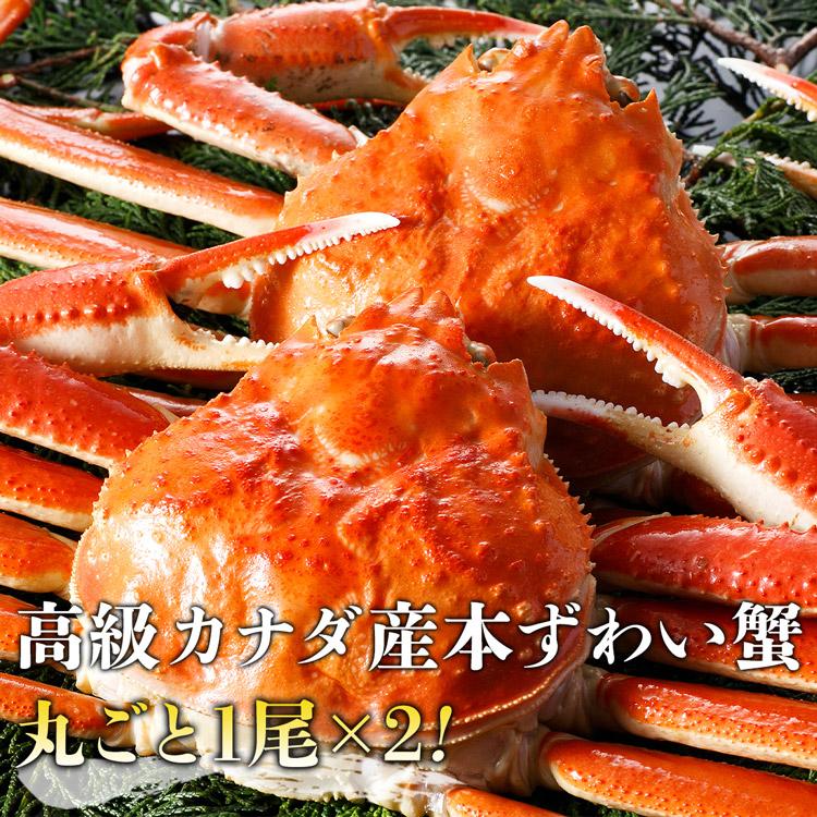 かに カニ 蟹 ズワイガニ 姿ずわい2尾 約1.3kg(1.2kg〜1.4kg) かに味噌 グルメ 食品 海鮮 ギフト ポイント利用 爆買 | 食の達人 | 02