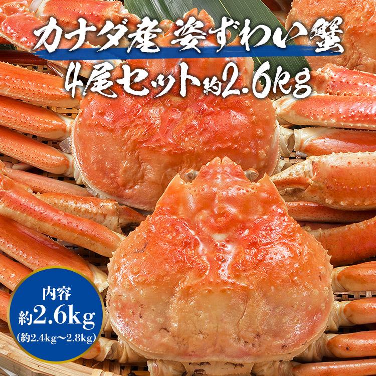 かに カニ 蟹 ズワイガニ 姿ずわい4尾 約2.6kg(2.4kg〜2.8kg) かに味噌 かに グルメ 食品 海鮮 ギフト ポイント利用 爆買 | 食の達人 | 01