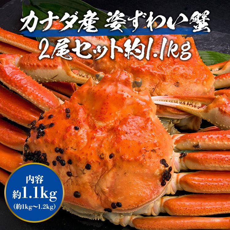 かに カニ 蟹 ズワイガニ ボイル 姿ずわい2尾 約1.1kg(1kg〜1.2kg) 高級カナダ産 大サイズ 食品 海鮮 ギフト クーポン 新生活応援 母の日 送料無料｜morigen｜02