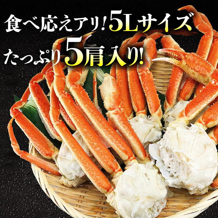 かに カニ 蟹 ズワイガニ 特大5Lサイズ ボイル5肩 総重量2.5kg NET2.1〜2.2kg ずわいがに  食品 海鮮 ギフト クーポン 新生活応援 母の日 送料無料｜morigen｜03