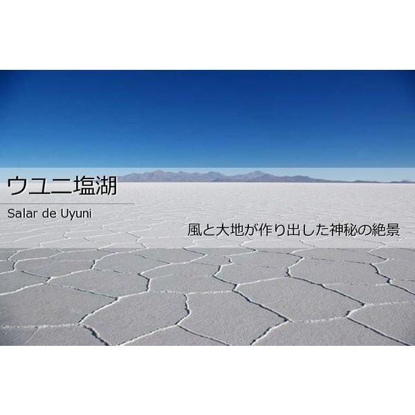 ボリビア　ウユニ湖塩（紛粒）業務用/塩　1kg　世界を代表する最も有名な湖塩のひとつです |  | 03
