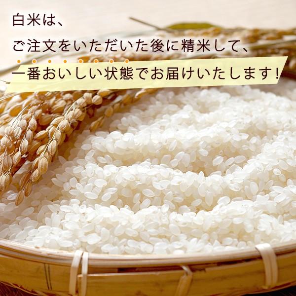 コシヒカリ 無農薬 5kg 令和7年産 白米 農薬不使用 100％有機肥料