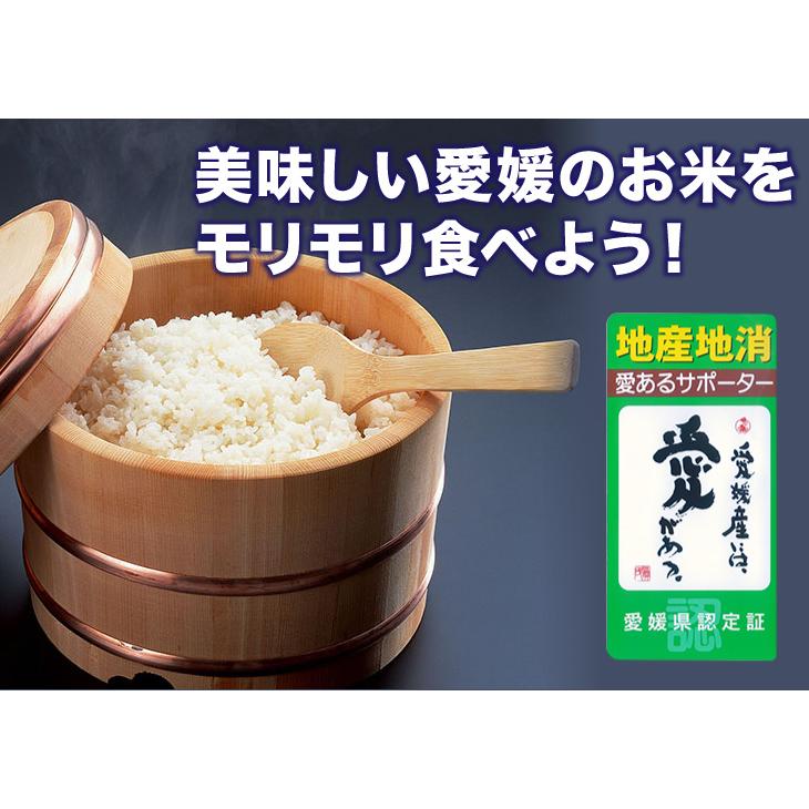 米 10kg 送料無料 「愛媛県産 コシヒカリ 10kg」こしひかり 10キロ 四国　（5kg小分け不可）｜morikawa-yshop｜02