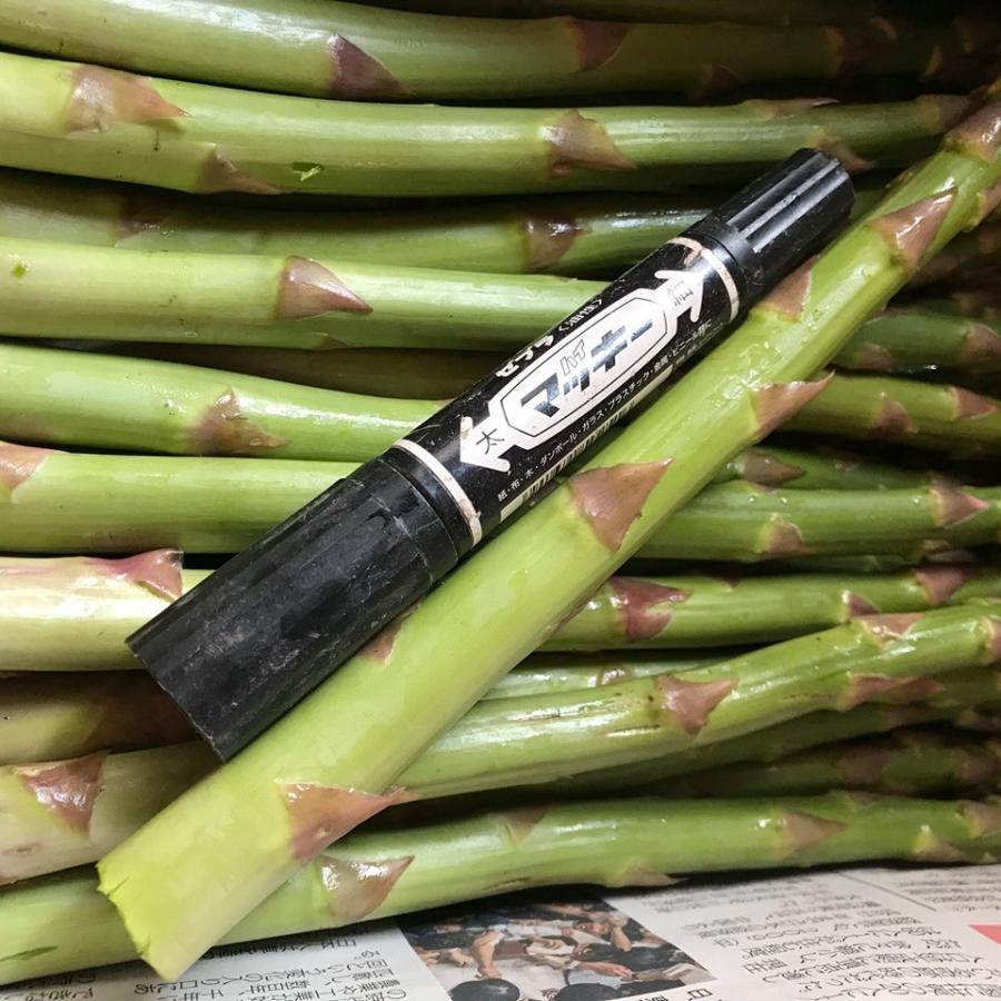 販売 秋田県産 訳あり朝どりアスパラガス S Lサイズ １kg Wantannas Go Id