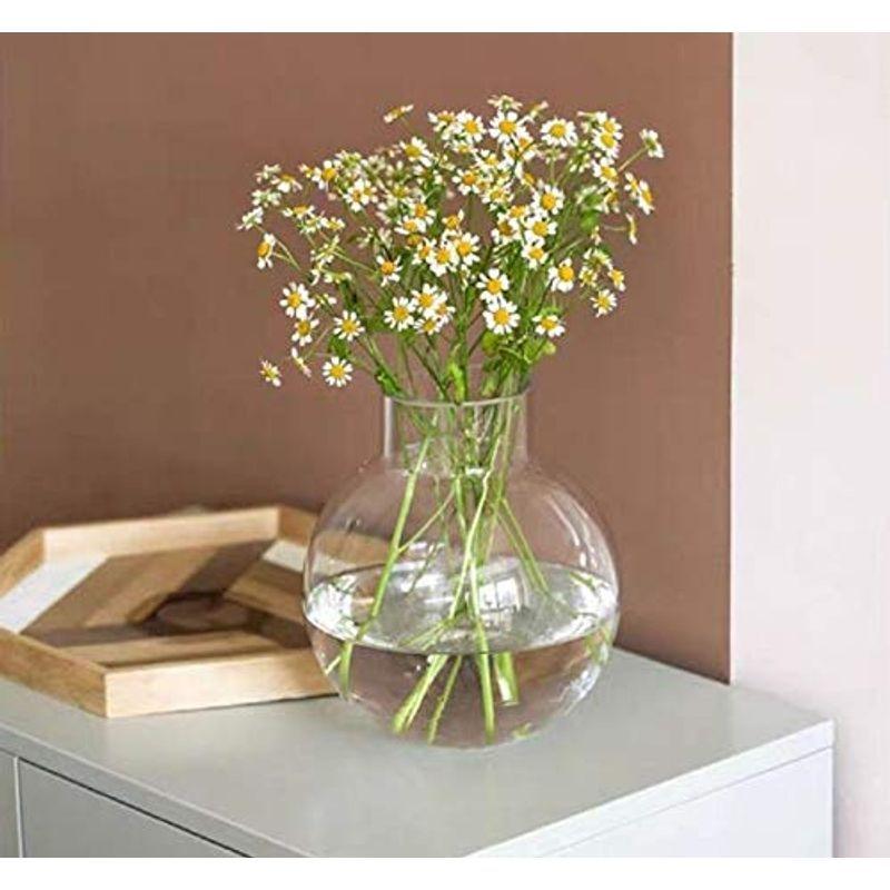 ガラス 花瓶 花器 丸い 円形 丸型 花瓶 おしゃれ 大 花瓶北欧 花瓶 18cmフラワーベース 花器 バスケット 花瓶 ガーデン ガラス 花瓶 花器 Www Smarttradzt Com