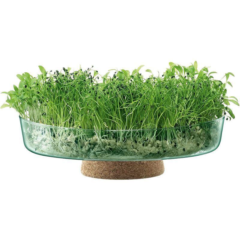 LSA (エルエスエー) Canopy Planting Bowl ?28cm Recycled/Cork エルエスエー Canopy Planting Bowl 28cm Recycled/Cork