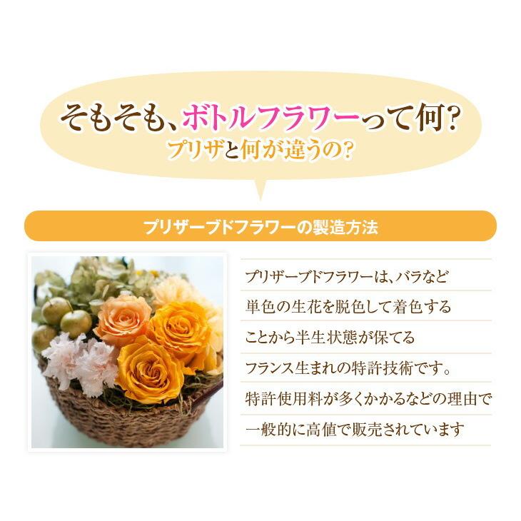 特大型 お仏壇専用Lサイズ 国産ボトルフラワー 『森のグラスブーケ