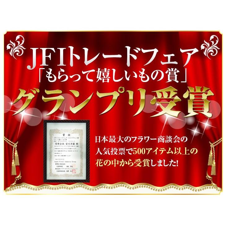 枯れない洋ランギフト 国産ボトルフラワー 『森のグラスブーケ