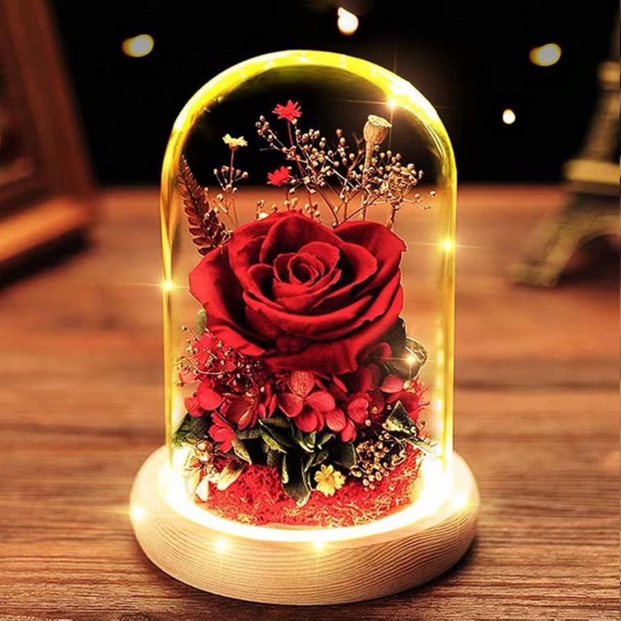 割引卸売 プリザーブドフラワー プレゼント 薔薇 永遠の花 ガラスポット ケース入り Ledライト付き ドライフラワー フラワーアレンジ 枯れない花 フラワーギ 人気激安 Ssl Daikyogo Or Jp