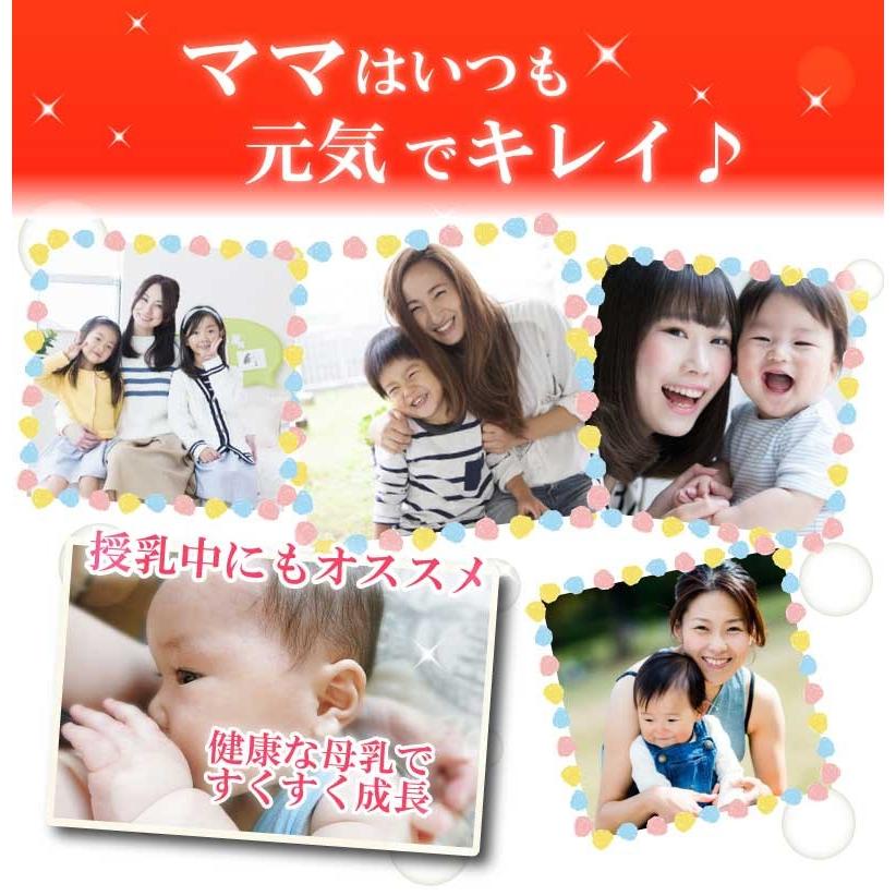 モリンガ茶1袋ティーパック30包入り 沖縄県産 次回使えるお得なクーポンあり |  | 11