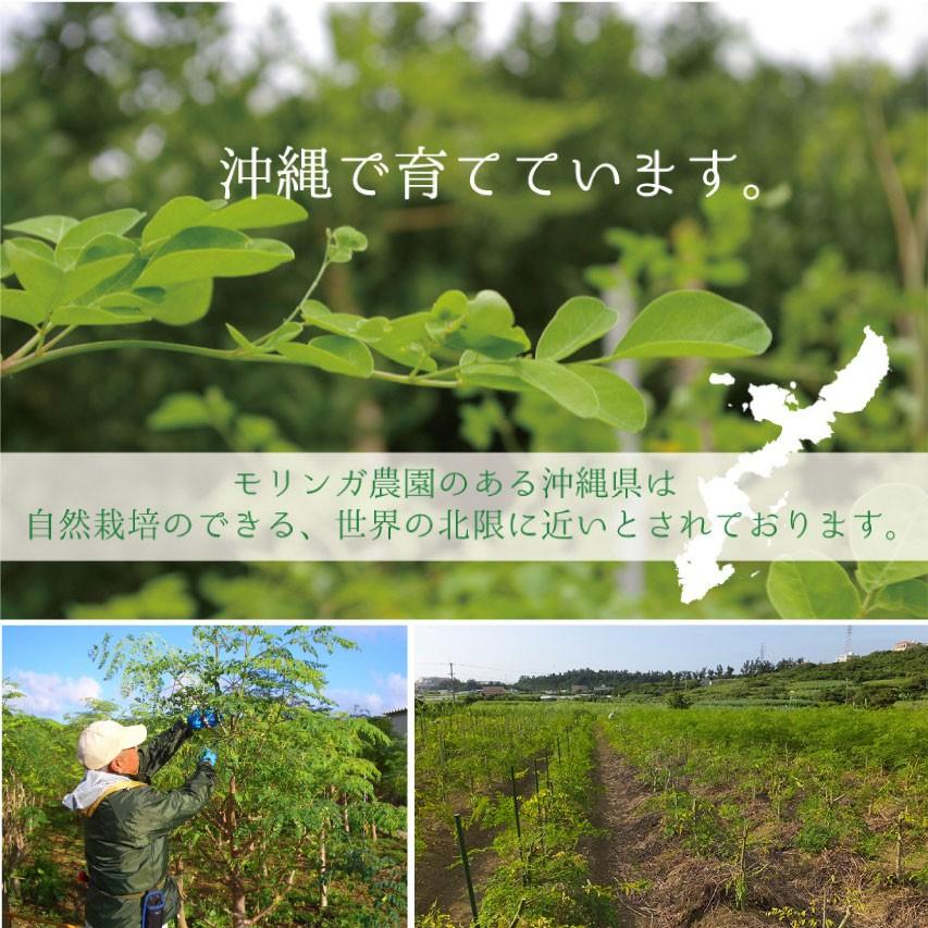 モリンガ茶1袋ティーパック30包入り 沖縄県産 次回使えるお得なクーポンあり |  | 18
