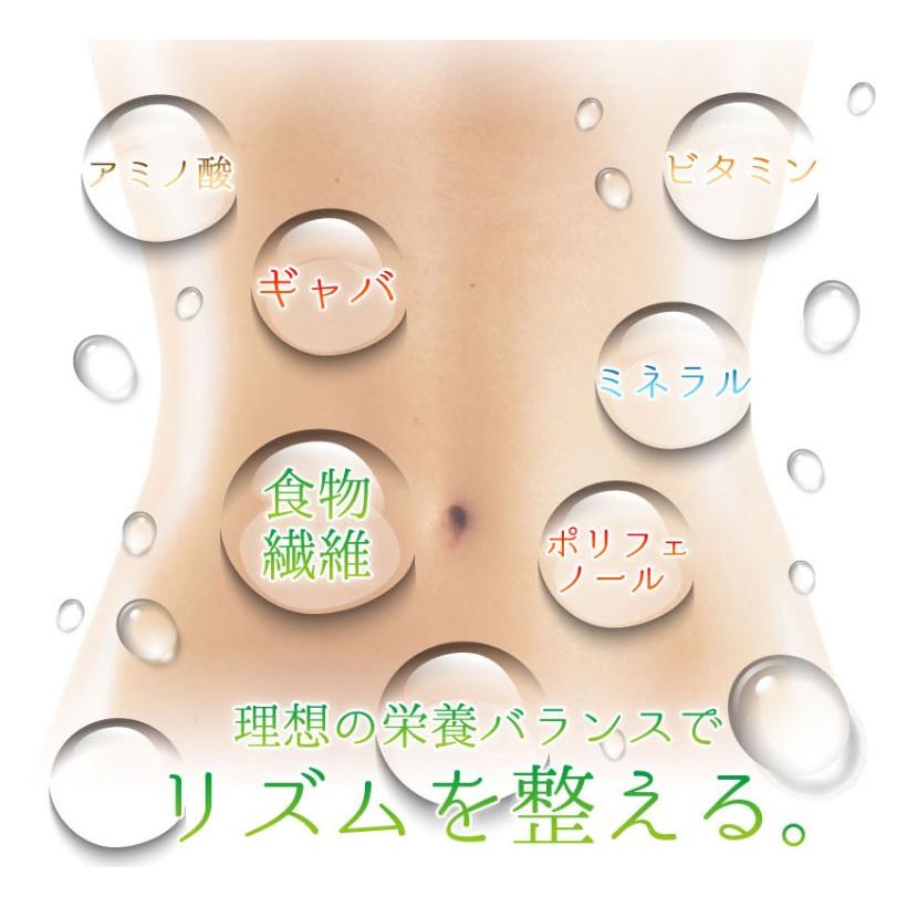 モリンガ茶1袋ティーパック30包入り 沖縄県産 次回使えるお得なクーポンあり |  | 03