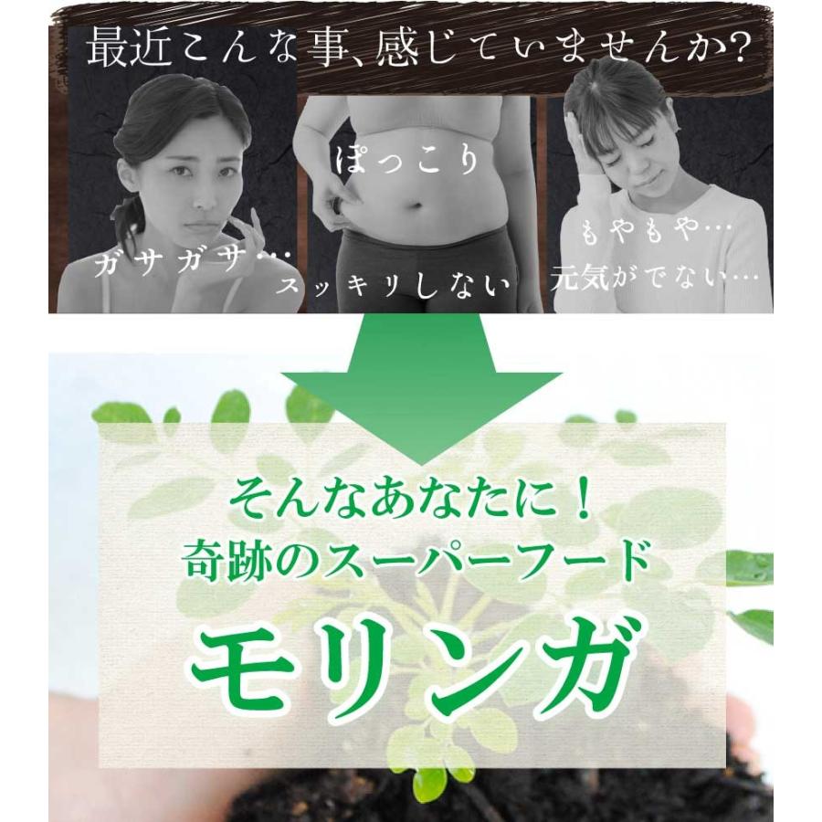 モリンガ茶1袋ティーパック30包入り 沖縄県産 次回使えるお得なクーポンあり |  | 06