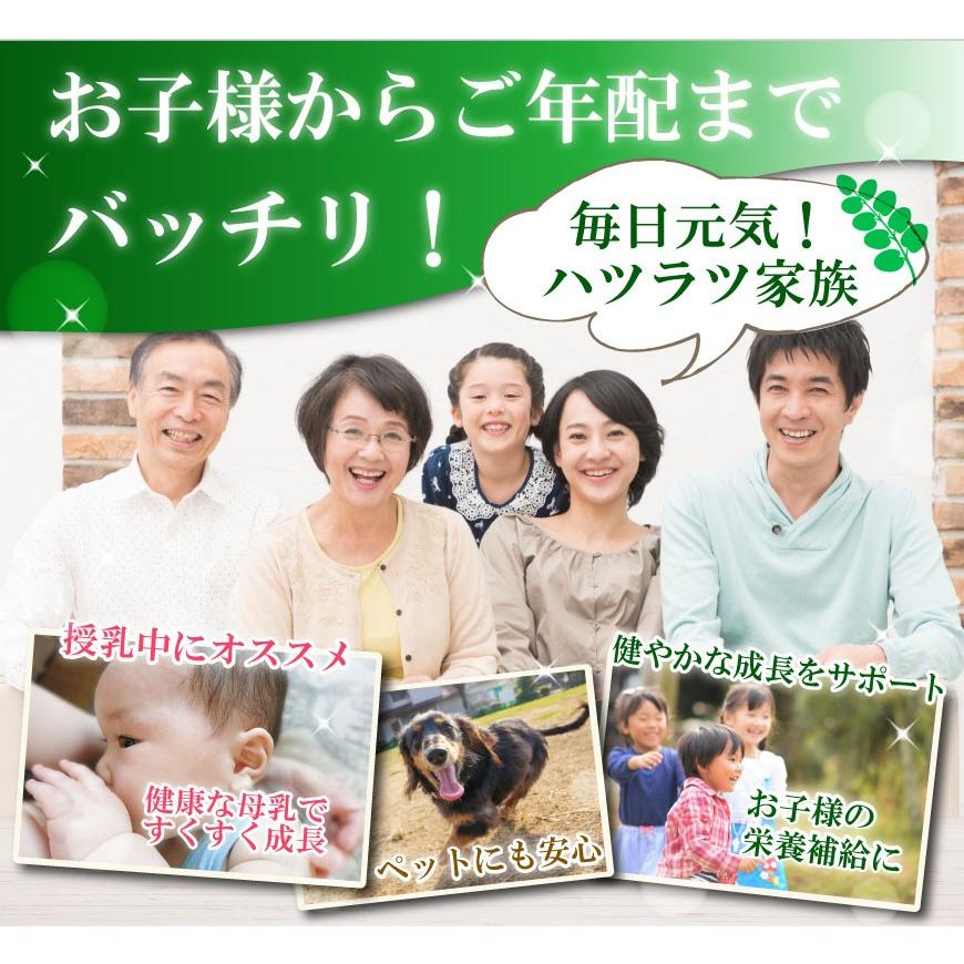 モリンガ茶1袋ティーパック30包入り 沖縄県産 次回使えるお得なクーポンあり |  | 08