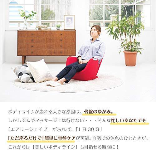完動品 ツカモトエイム ポルト エアリーシェイプ ローズ AIM-FN050RS 【L2294870888】(12765円)