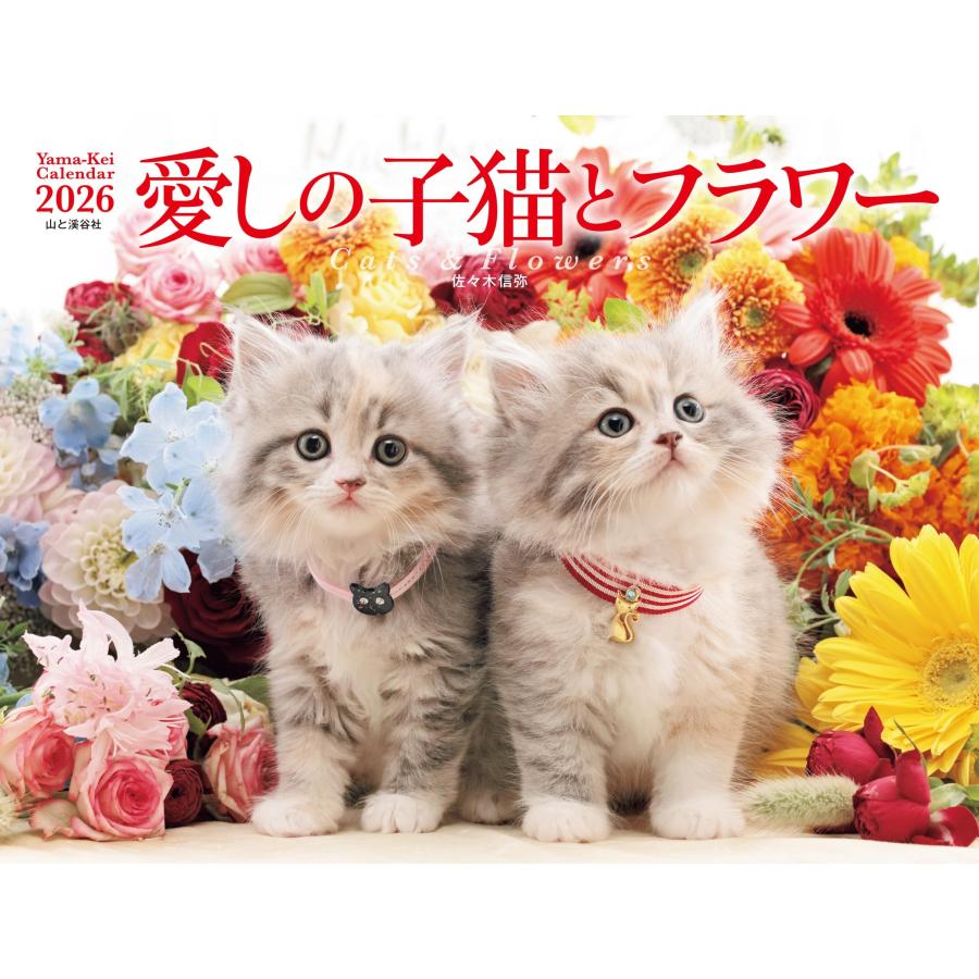 カレンダー2026 愛しの子猫とフラワー（月めくり/壁掛け/ねこ こねこ