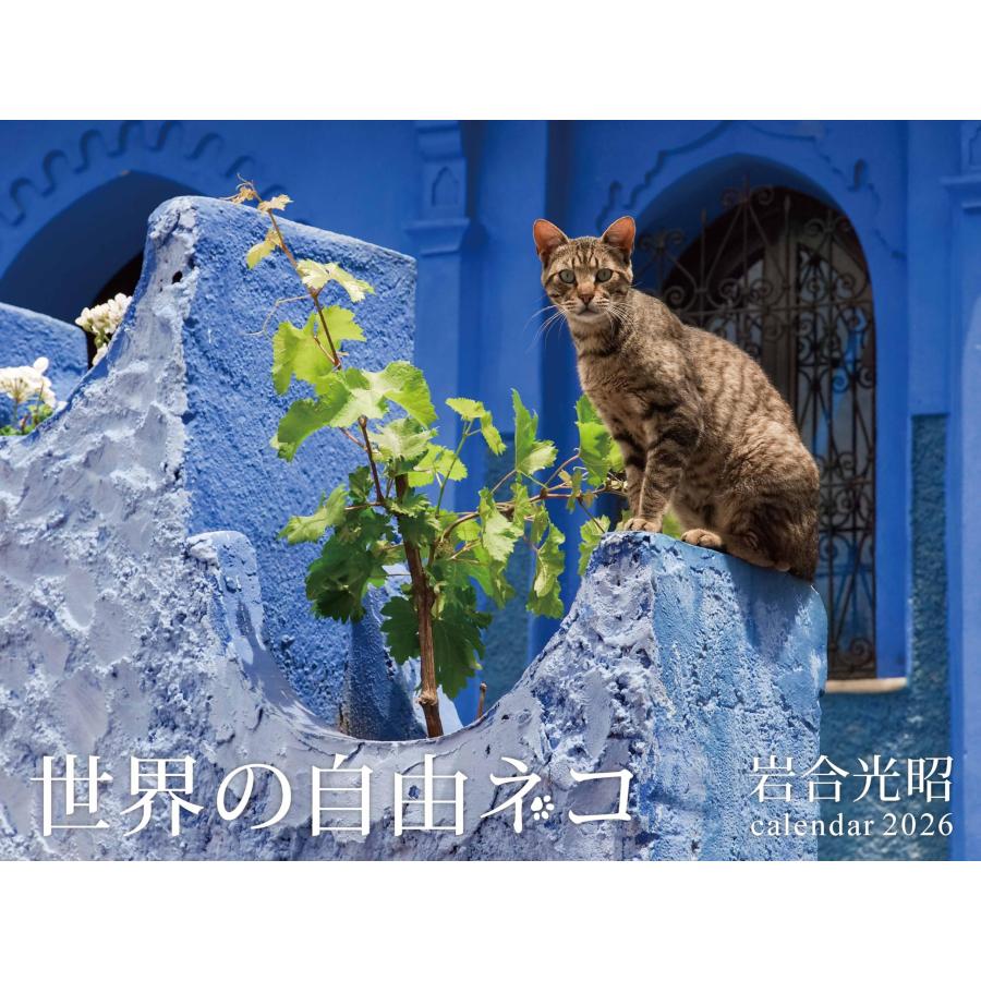 世界のネココレクション 8/8は世界ねこの日！