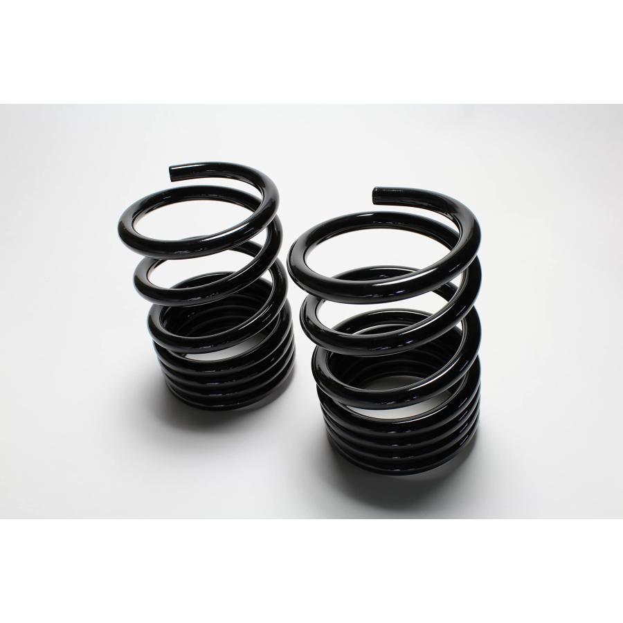 Spiegel(シュピーゲル) レーシングスペックハイレートリアスプリング