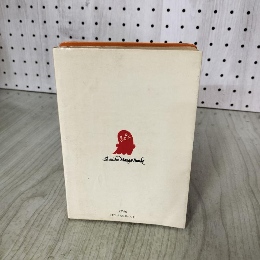 中古] 銀色の髪の亜里沙 和田慎二 集英社漫画文庫 220003 : もりもり