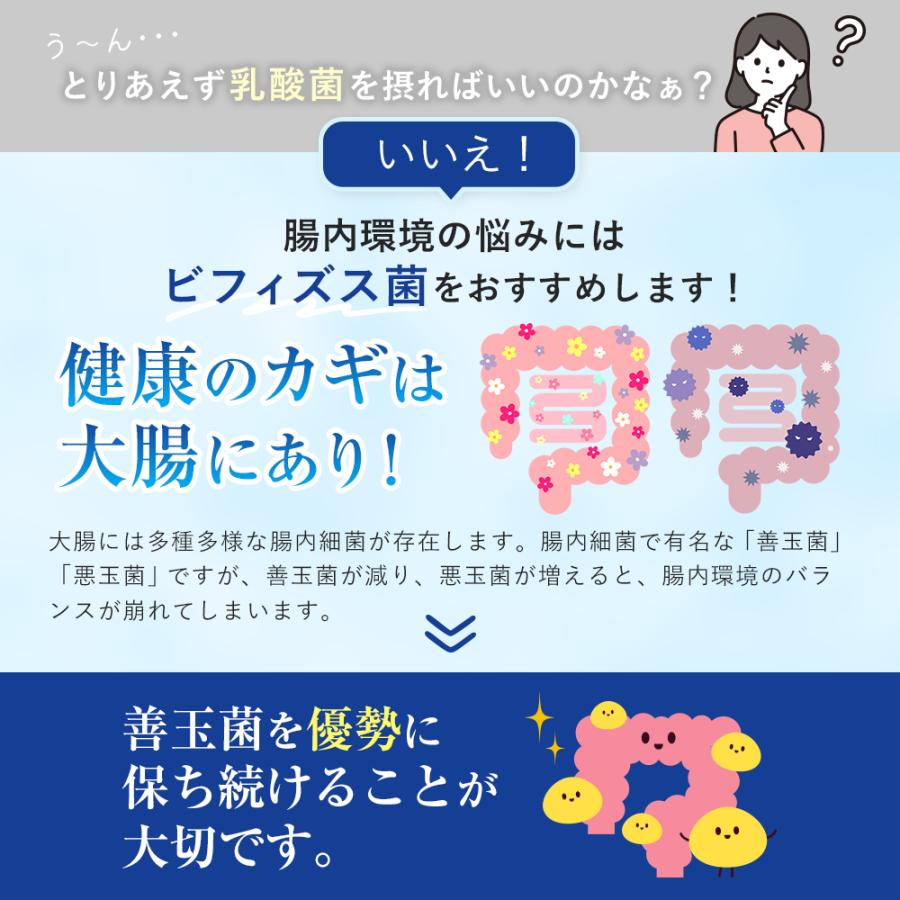 森永乳業 【公式】 ビフィズス菌・乳酸菌 メーカーシェアNo.1