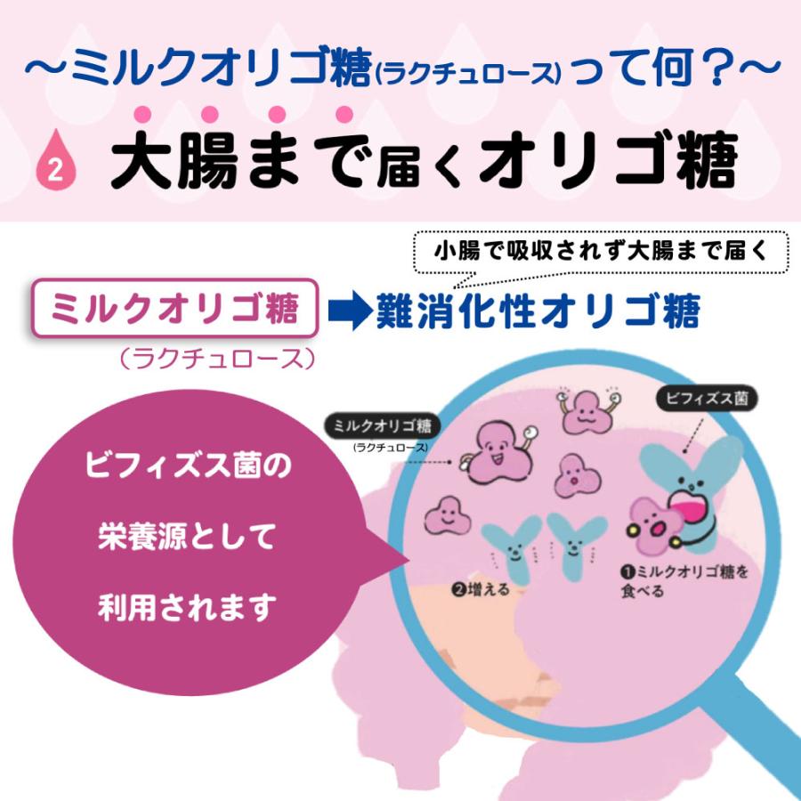 森永乳業 訳あり 公式 大腸活セット 大腸のキホン＋スッキリオリゴ 
