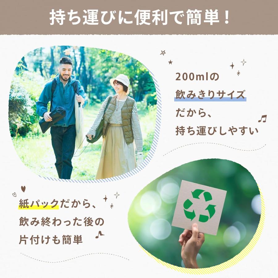 森永乳業 【公式】 リプトン ミルクティー ＜200ml×24本＞ 紙パック