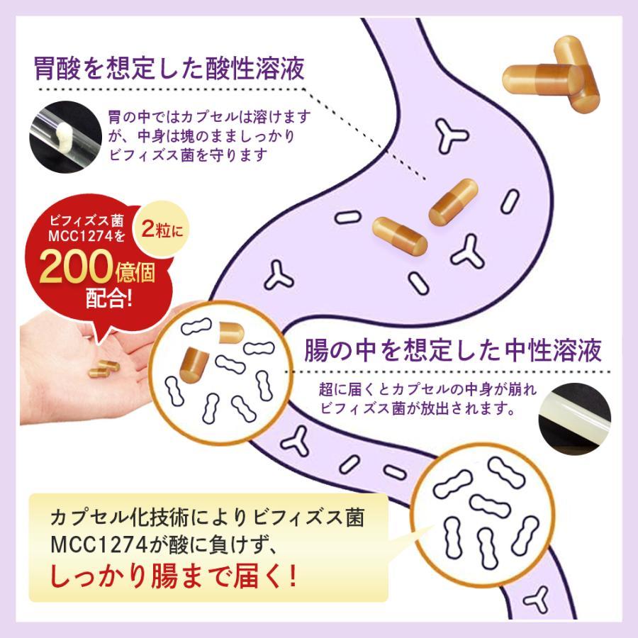 森永乳業 【定期便】記憶対策サプリ公式 メモリービフィズス