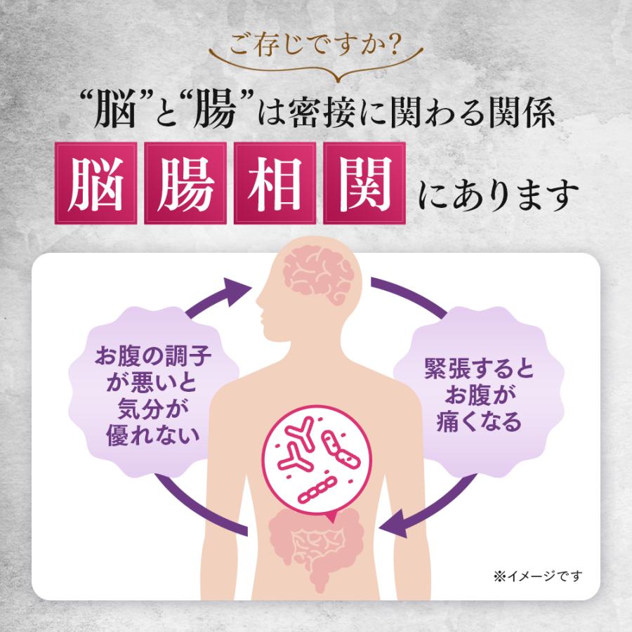 森永乳業 【公式】 メモリービフィズス記憶対策サプリ 12袋(約360日分