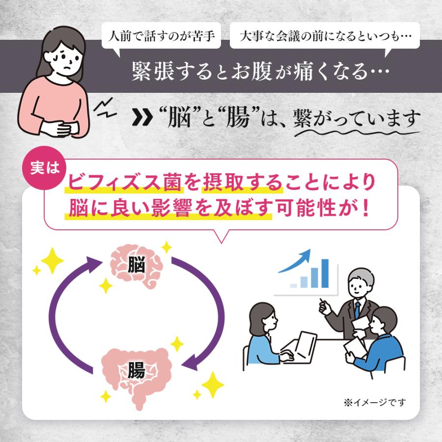 森永乳業 【公式】 メモリービフィズス記憶対策サプリ 12袋(約360日分