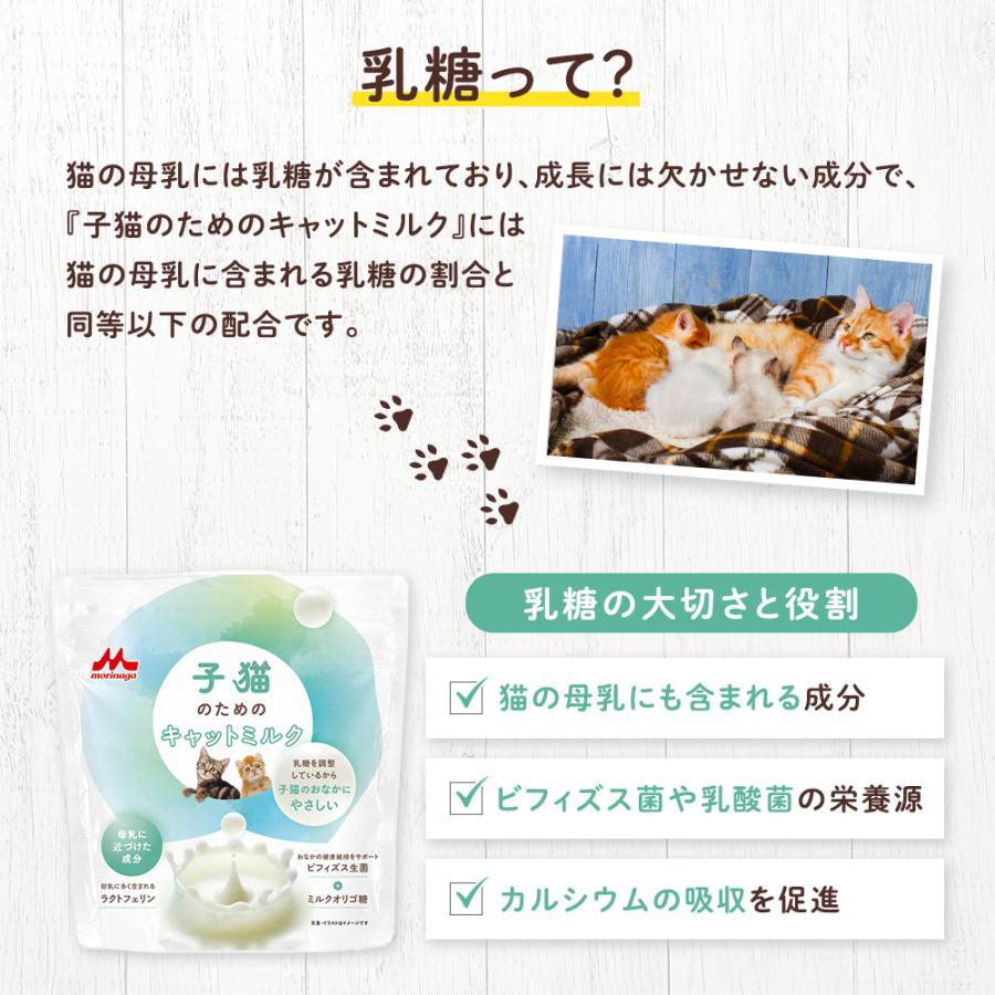 森乳サンワールド 【公式】 森永乳業 子猫 のための キャット