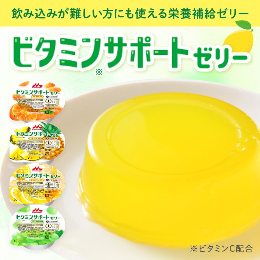 森永乳業 【公式】 ビタミンサポートゼリー いろいろ セット (4種×6個