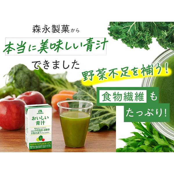 森永製菓 青汁 30本 おいしい青汁 125ml×30本 野菜 食物繊維 ケール