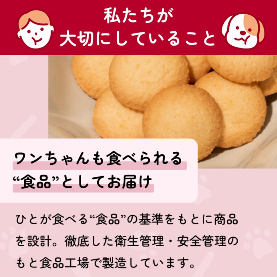 森永製菓 ワンゼリースティック with ドッグ ヨーグルト味 1袋（15g×5