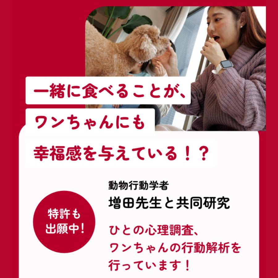 森永製菓 ワンちゃんも一緒に食べられる ワンゼリースティック with