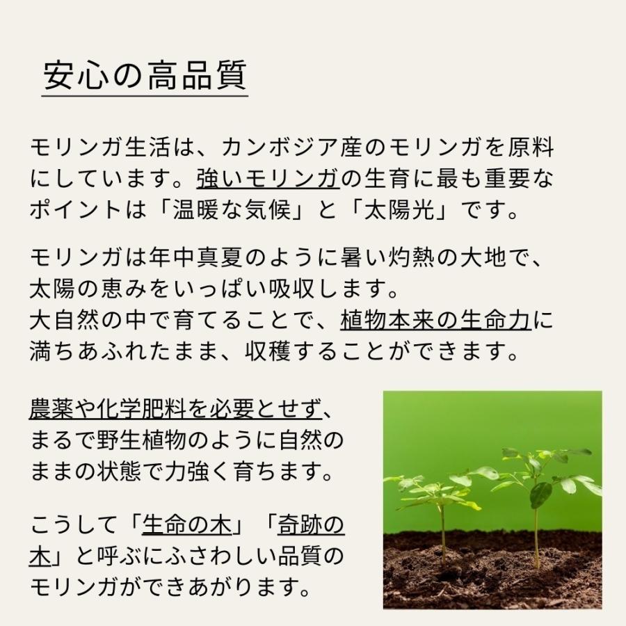 モリンガ粉末パウダー100g 青汁 無添加無農薬のオーガニック栽培 モリンガ生活公式 |  | 06