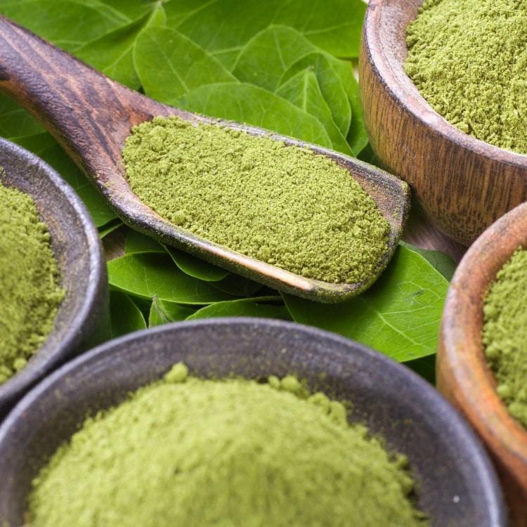 モリンガ粉末パウダー50g 青汁 無添加無農薬のオーガニック栽培 モリンガ生活公式 |  | 01