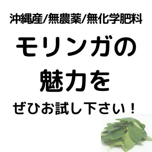 モリンガ 沖縄産 100% パウダー 青汁 無農薬 アミノ酸 食物繊維 国産 粉末 約100g(増量 お得タイプ) 送料無料｜moringa｜09