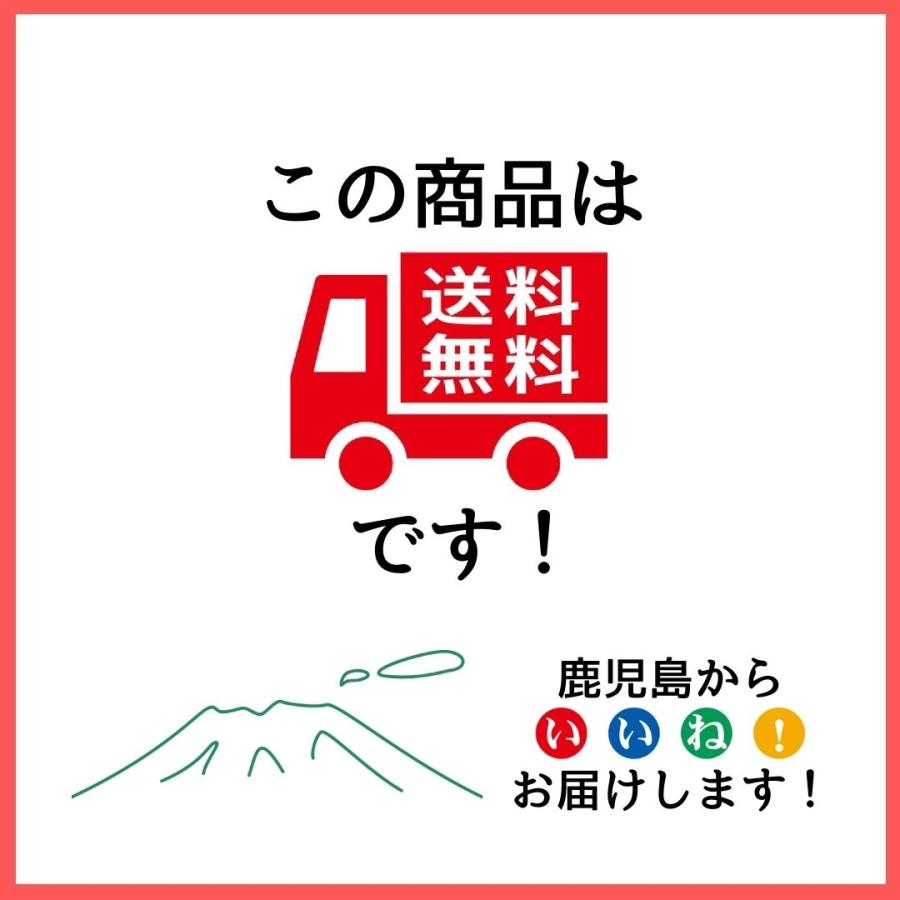 ジャボチカバ 大葉系(サバラ) 苗木 4年もの 四季成り 果樹 栽培 苗