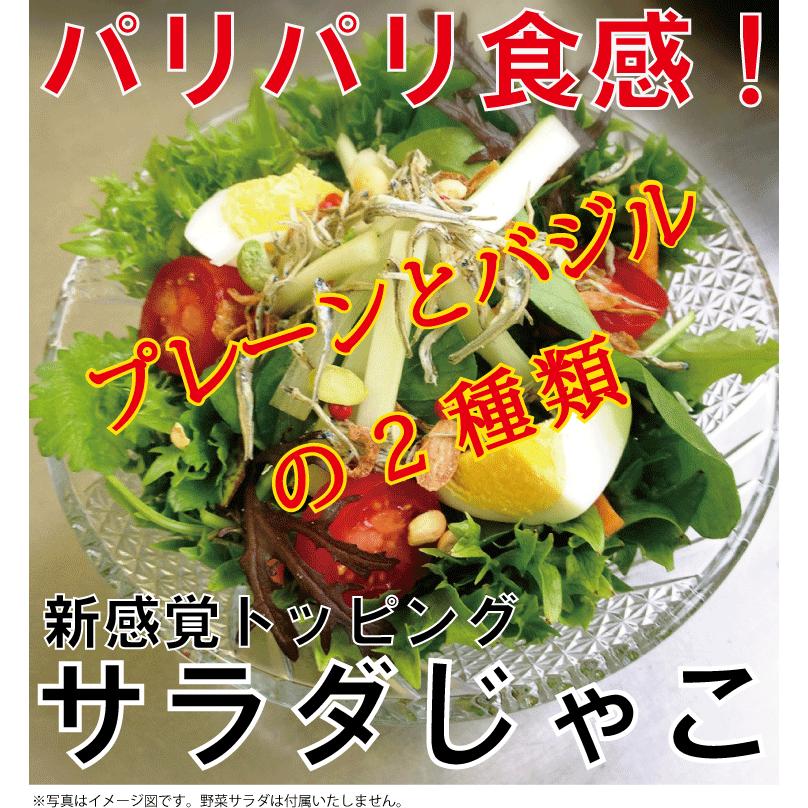 お得な2袋セット 新感覚サラダトッピング サラダじゃこプレーン23ｇ バジル風味23ｇ メール便可 Ks G001 2 もりのくに 通販 Yahoo ショッピング