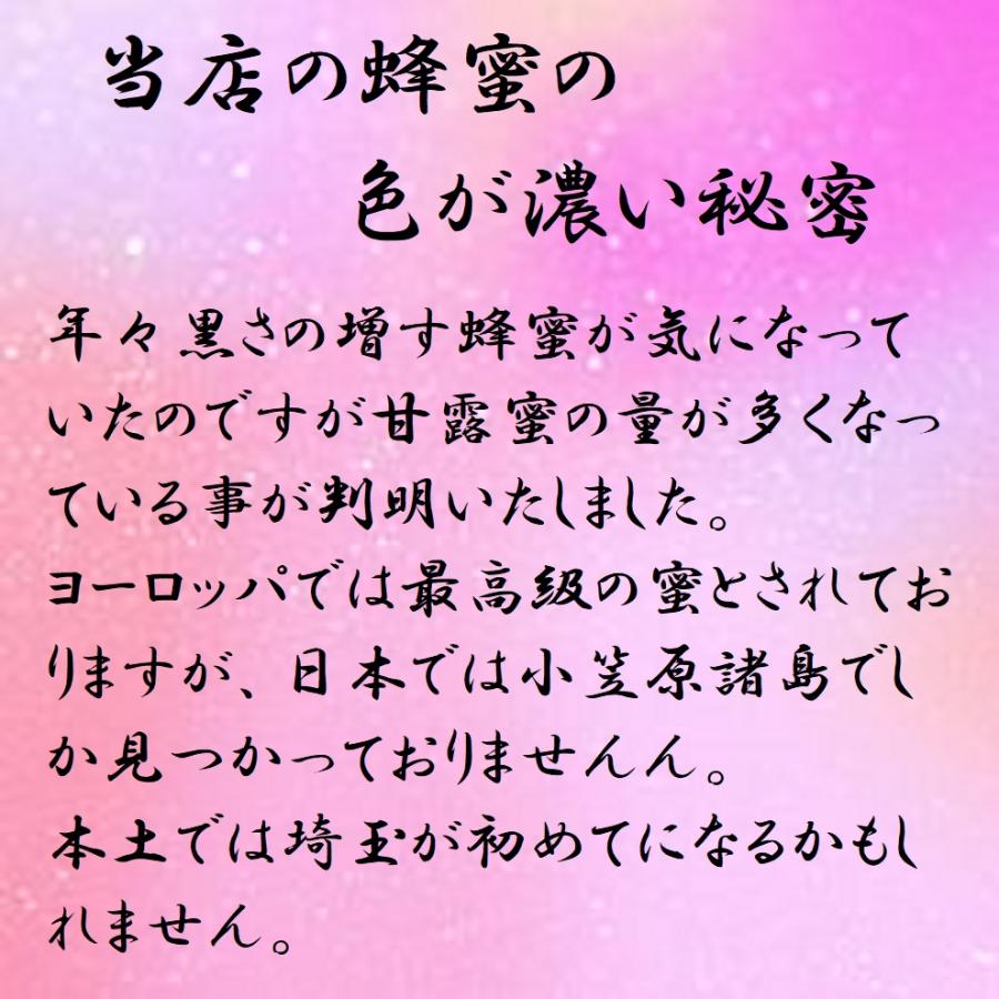 信州 安曇野産・日本ミツバチの蜂蜜（ハチミツ）はちみつ・幻の百花蜜の天然垂れ生蜜「森の御宝」　600ｇ｜morinogohou｜05