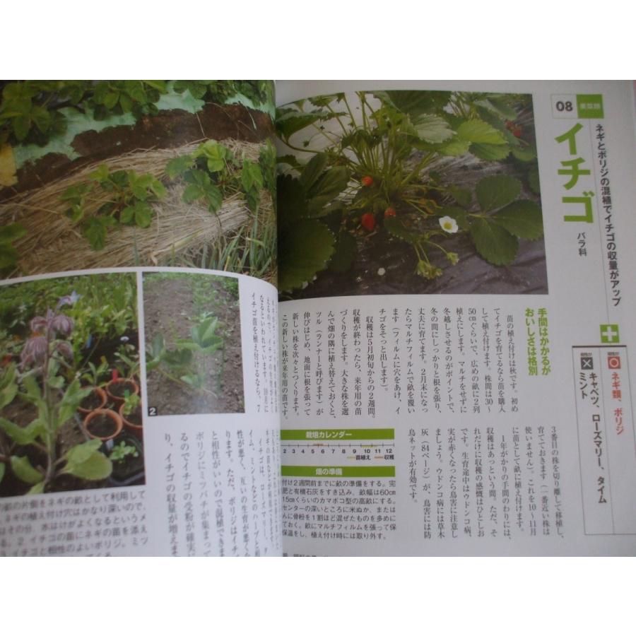 コンパニオンプランツで無農薬の野菜づくり 増補改訂版 森の広場ヤフーショップ 通販 Yahoo ショッピング