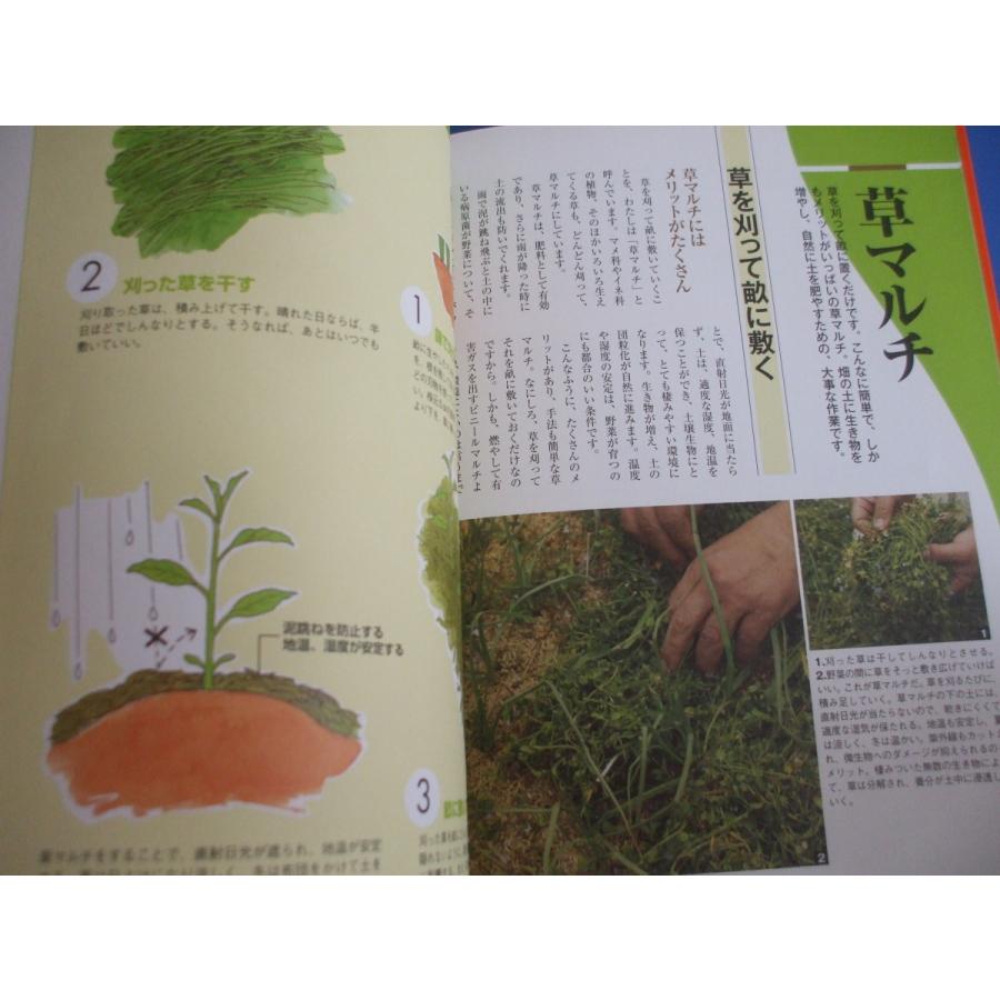 「手間なし ぐうたら農法」有機・無農薬でできる雑草を活かす！増補改訂版｜morinohirobashop｜03